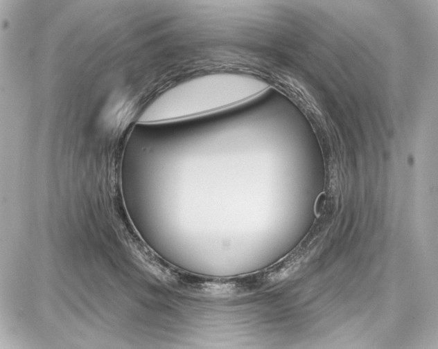 X0000087740457200705070931