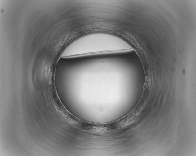 X0000087740458200705070931
