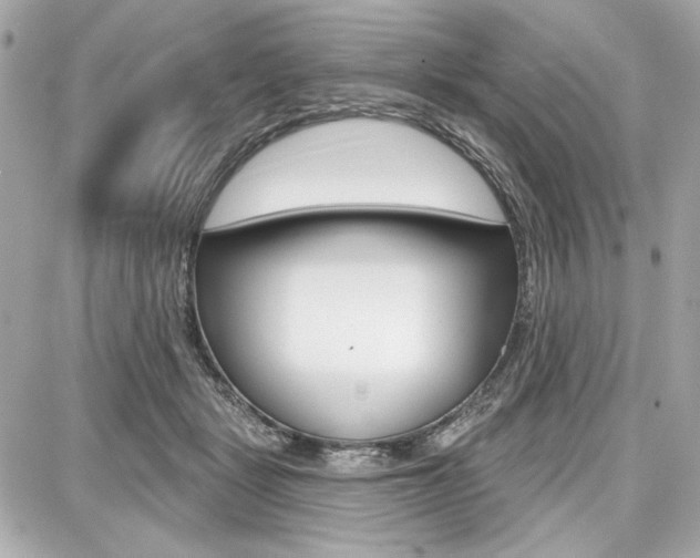 X0000087740461200705070931