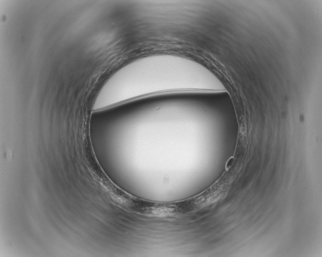 X0000087740462200705070931