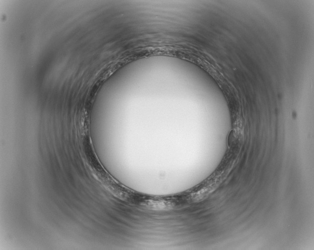 X0000087740464200705070931