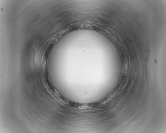 X0000087740468200705070931