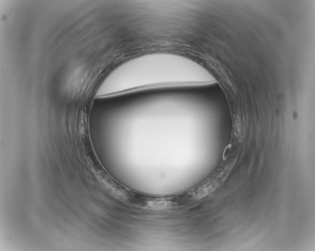 X0000087740470200705070931