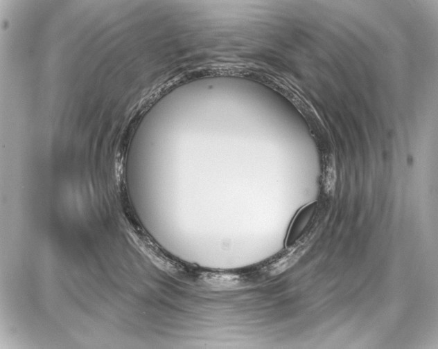 X0000087740476200705070931