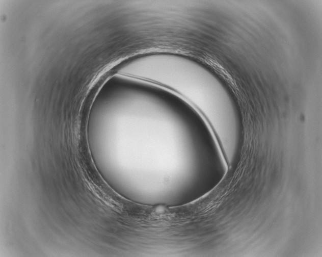 X0000087740484200705070930