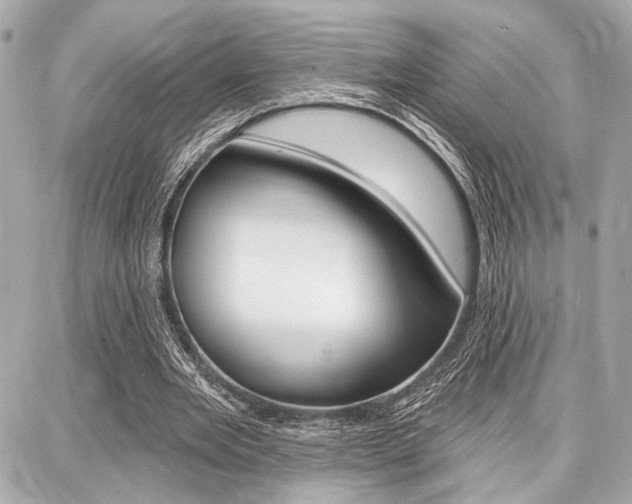 X0000087740485200705070930
