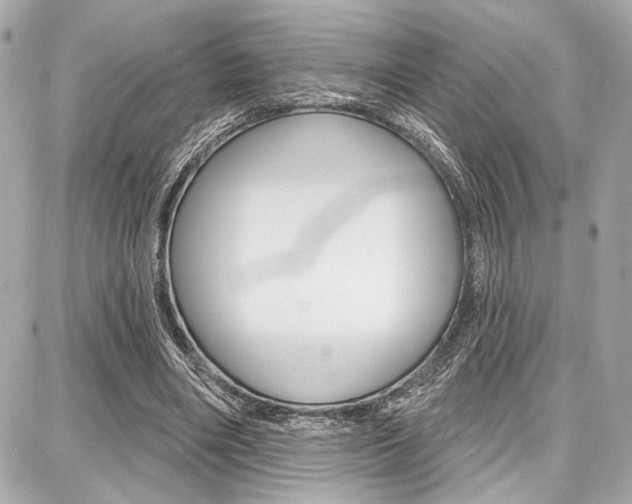 X0000087740490200705070930