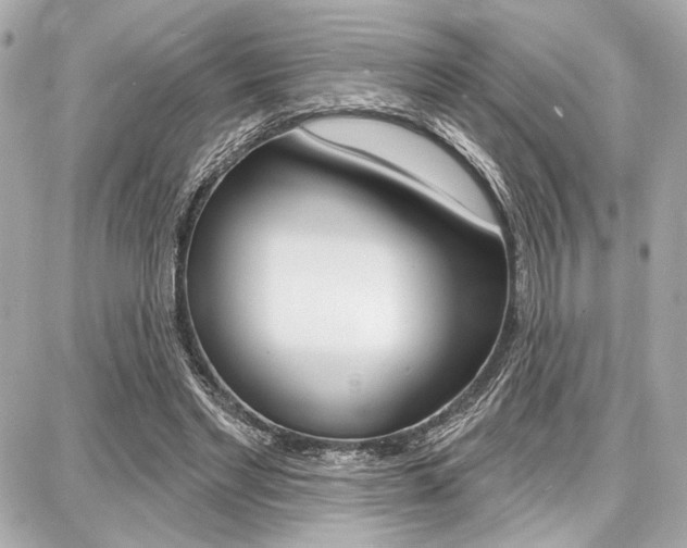 X0000087740493200705070930