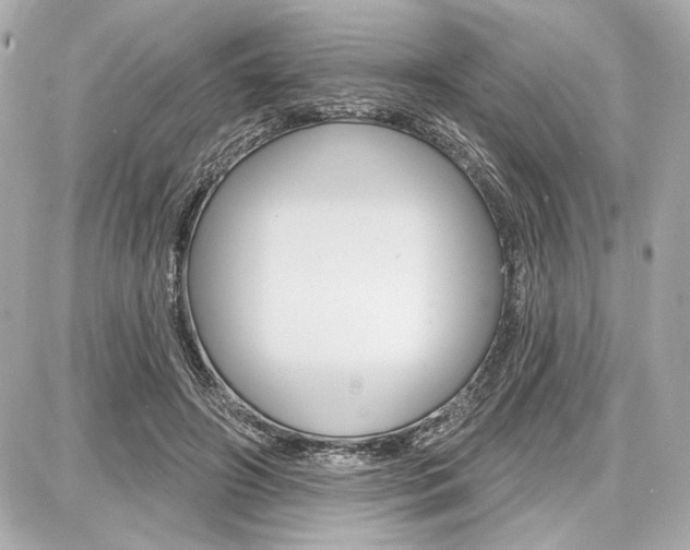 X0000087740498200705070930