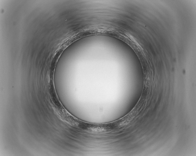 X0000087740500200705070930