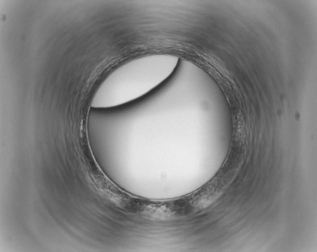 X0000087740502200705070930