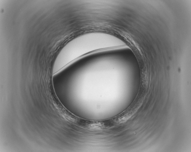 X0000087740505200705070930