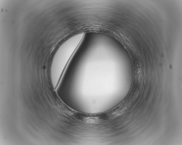X0000087740508200705070930