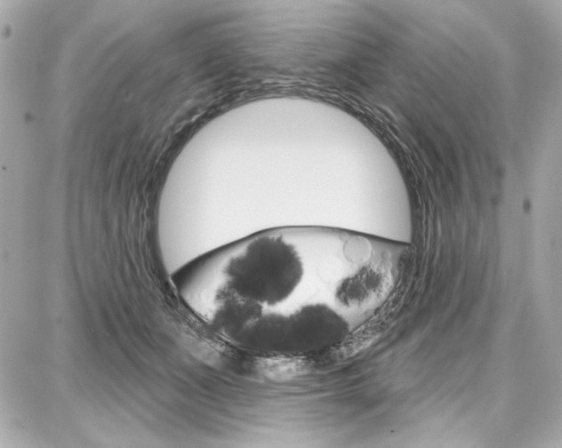 X0000087740511200705070930
