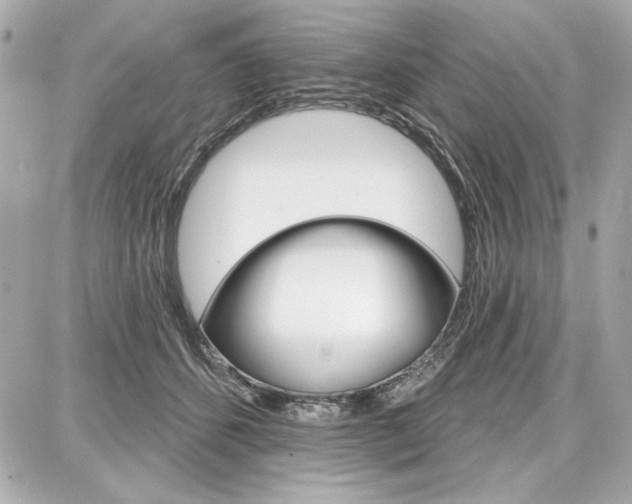 X0000087740512200705070930