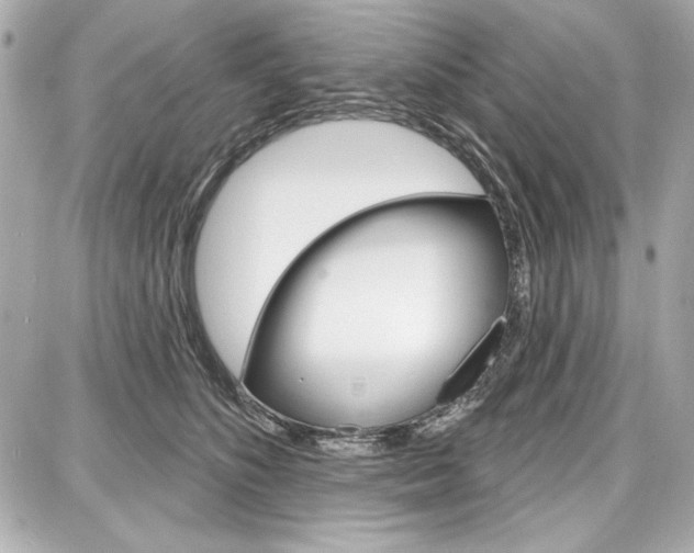 X0000087740516200705070930