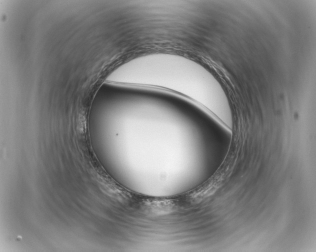 X0000087740517200705070930