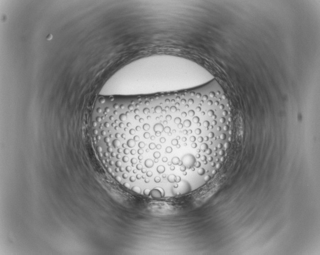 X0000087740519200705070929
