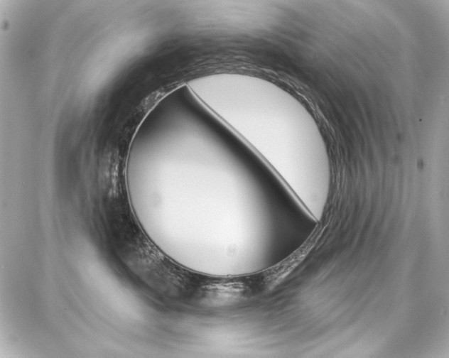 X0000087740525200705070929