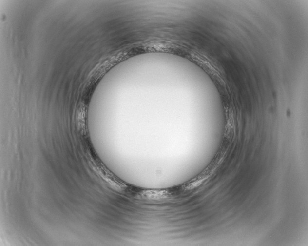 X0000087740526200705070929