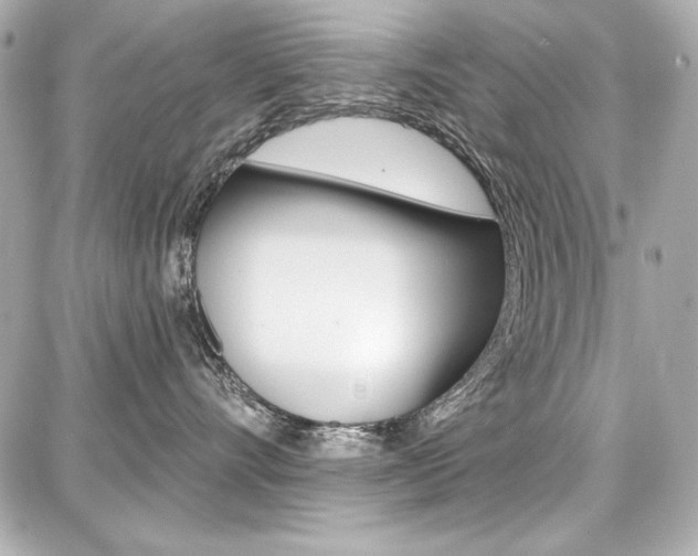 X0000087740528200705070929