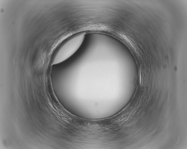 X0000087740531200705070929