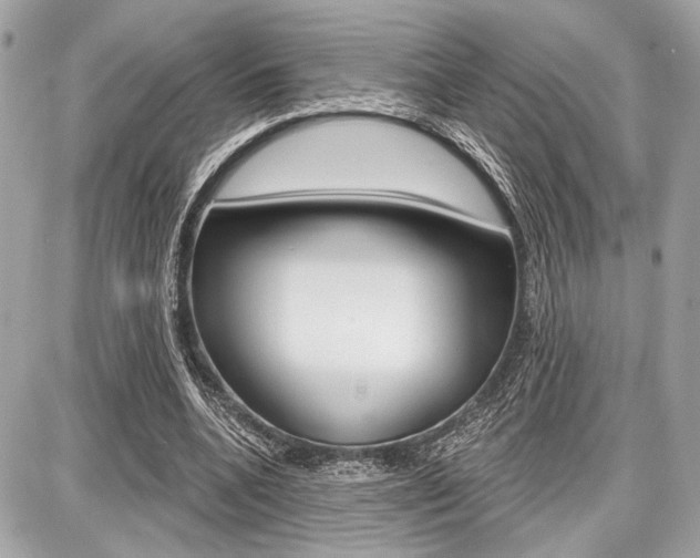 X0000087740536200705070929