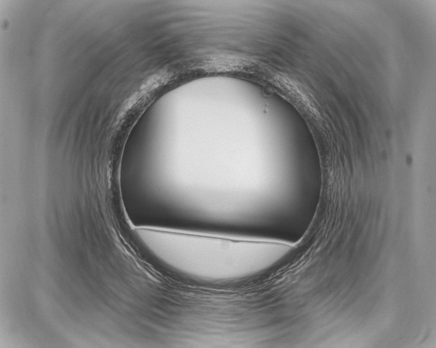 X0000087740539200705070929