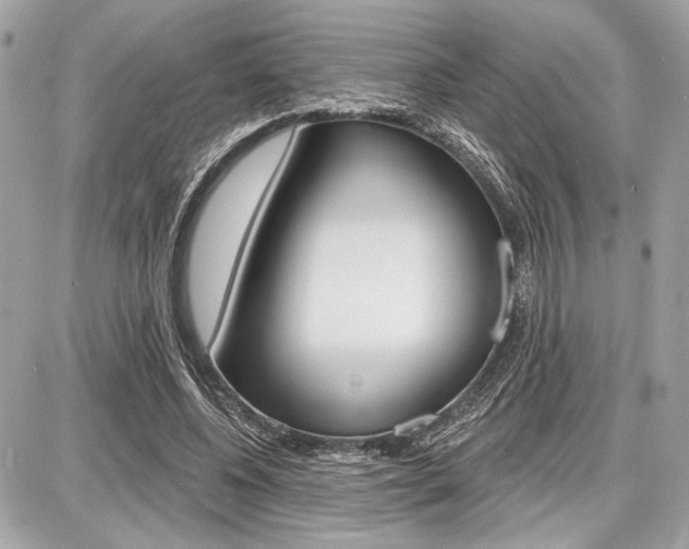 X0000087740540200705070929