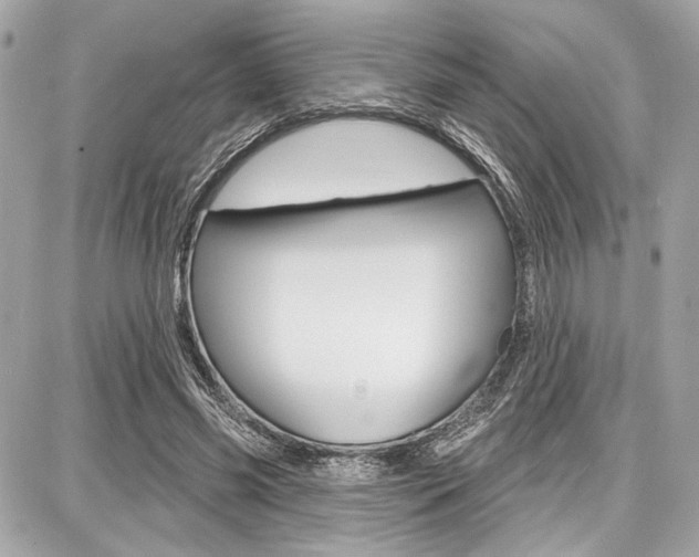 X0000087740541200705070929