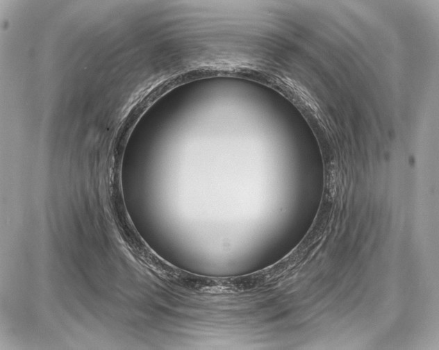 X0000087740544200705070929