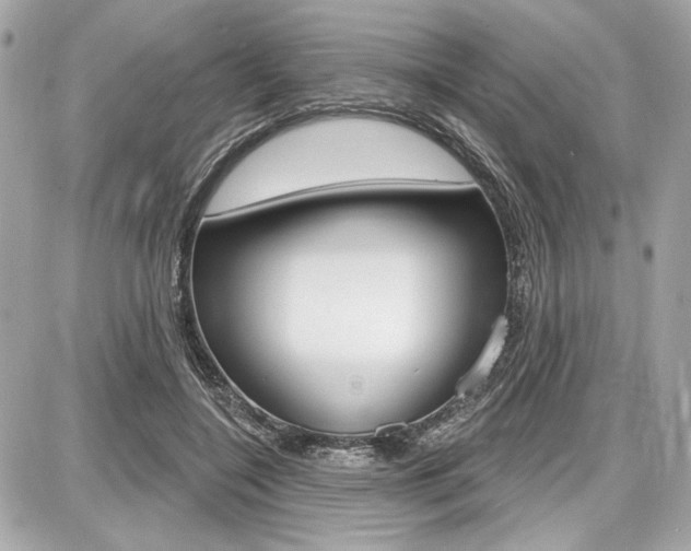 X0000087740548200705070929