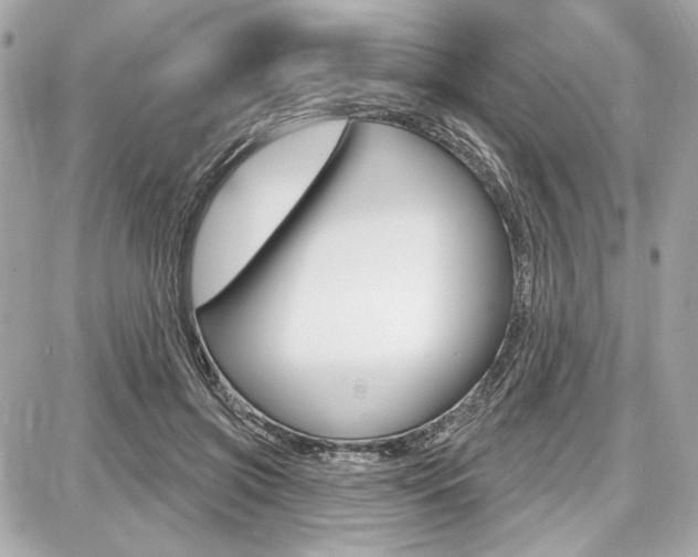 X0000087740549200705070929