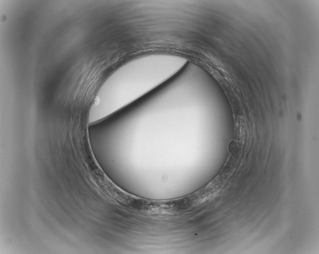 X0000087740550200705070929
