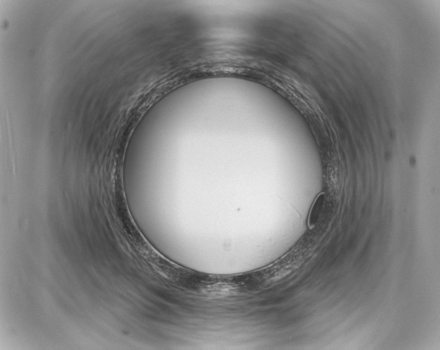 X0000087740551200705070929