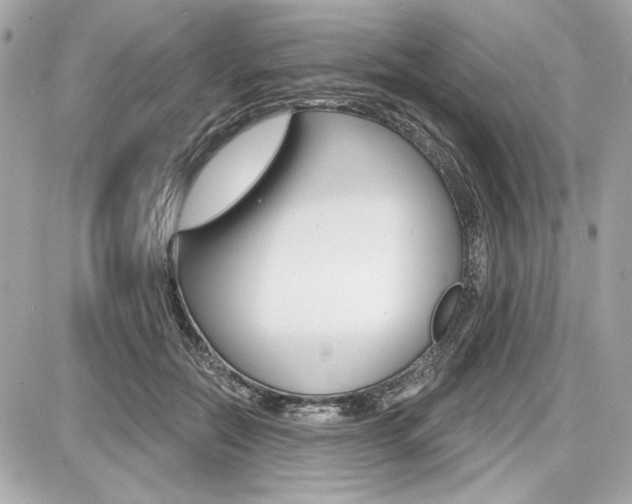 X0000087740554200705070929