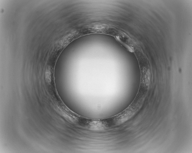 X0000087740562200705070929