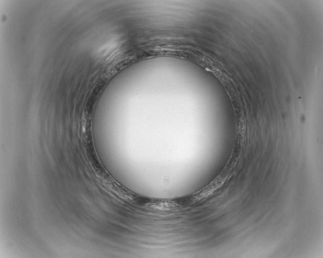 X0000087740567200705070929