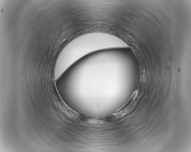 X0000087740568200705070929
