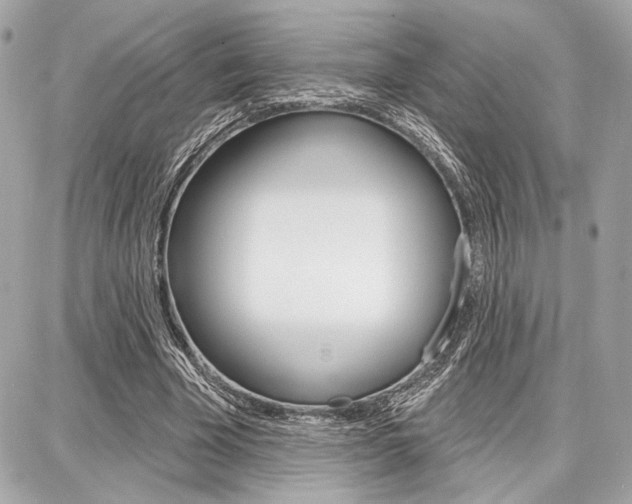 X0000087740585200705070928