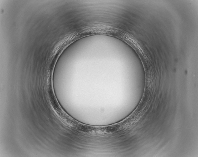 X0000087740586200705070928
