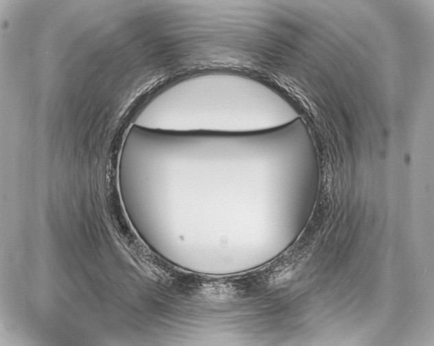 X0000087740591200705070928