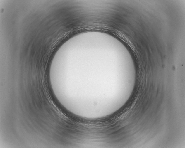 X0000087740593200705070928