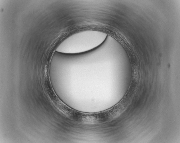 X0000087740598200705070928