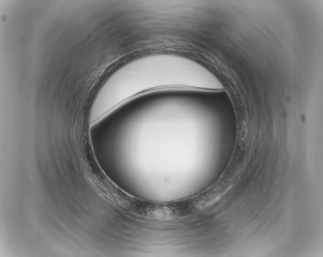 X0000087740600200705070928