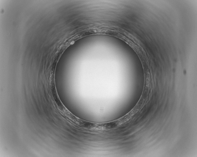 X0000087740604200705070928