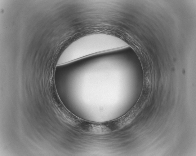 X0000087740605200705070928