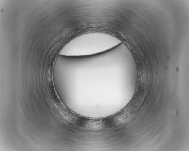 X0000087740606200705070928