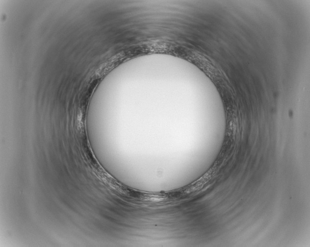 X0000087740610200705070928