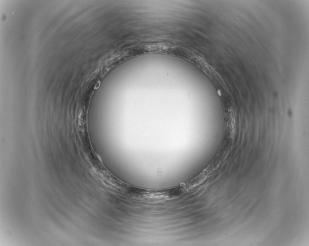 X0000087740619200705070928